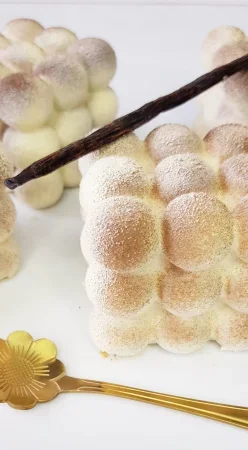 Entremet vanille et chocolat TM