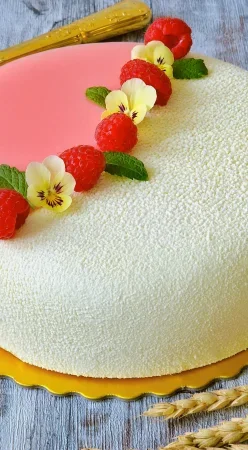 Entremet framboises et citron
